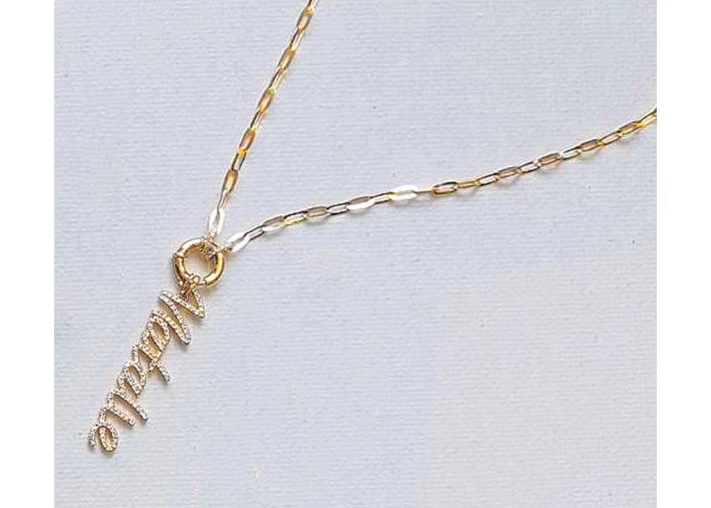 SMALL SPRING CLASP LINK CHAIN NECKLACE